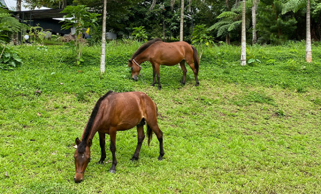 80021_accommodation_banner_image